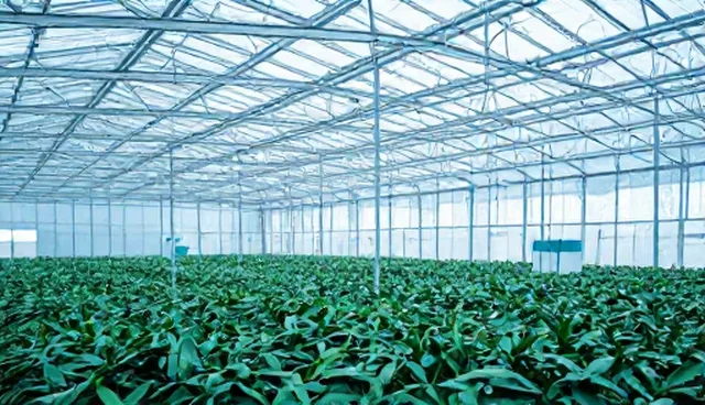 目标用户画像偏差影响品牌建设效果的原因解析
